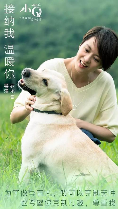 代办柬埔寨ID